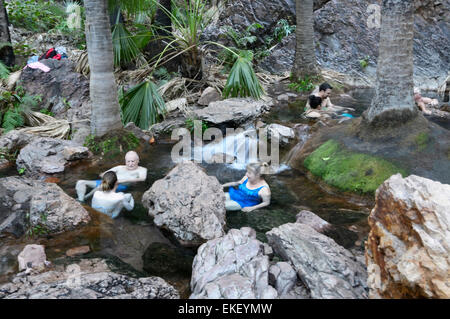 Zebedee Springs, El Questro Wilderness Park, Kimberley, Western Australia, WA, Australia Stock Photo