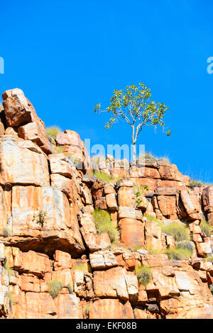 Sandstone, Chamberlain Gorge, El Questro Wilderness Park, Kimberley, Western Australia, WA, Australia Stock Photo