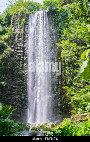 Jurong bird Park Singapore, man made waterfall Stock Photo