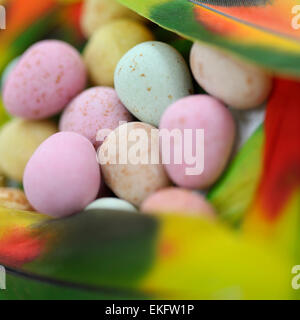 bright and colourful Easter image - candy eggs nestled into multi coloured feathers Jane Ann Butler Photography JABPSW029 Stock Photo