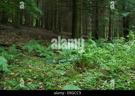 No public access sign in woodland. Stock Photo