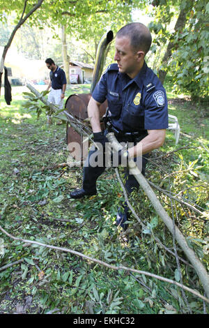 August 2011: Hurricane Irene Aftermath in New Jersey. CBP Officer moves away tree debris from a tree being cut that had fallen onto a fence creating an unsafe condition at a CBP Officer home.    Donna Burton Stock Photo