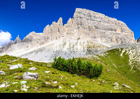 European Alps. Wilderness scenery of Sesto Dolomites in Northern Italy, South Tyrol landmark with dolomites ridge near Tre Cime Stock Photo