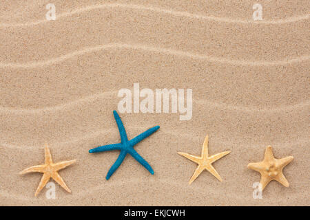 Starfish lie on the sand, can be used as background Stock Photo