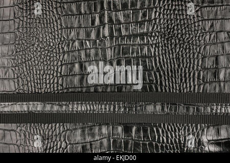 Natural crocodile skin and a belt, can be used as background, texture Stock Photo