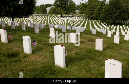 Arlington National Cemetery Stock Photo