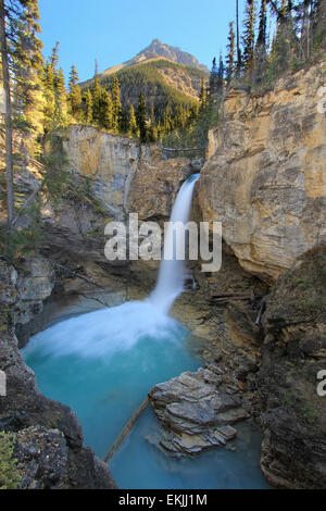 Stanley falls in Beauty creek canyon, Jasper national park, Alberta, Canada Stock Photo