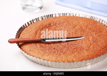 Fresh baked cake in a round baking pan Stock Photo