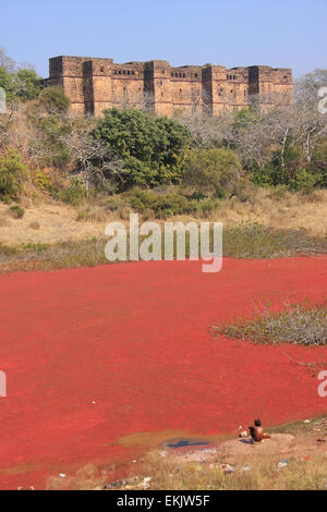 Ranthambore Fort and red lake, Rajasthan, India Stock Photo