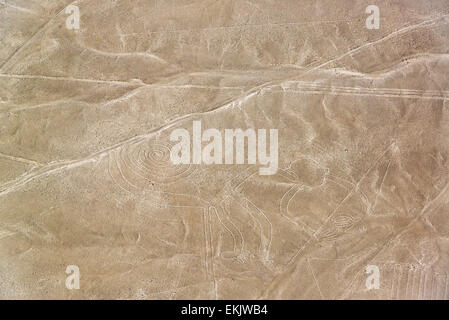 Closeup view of Nazca Lines monkey geoglyph in Peru Stock Photo