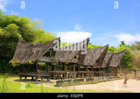 Traditional Batak houses on Samosir island, Sumatra, Indonesia, Southeast Asia Stock Photo