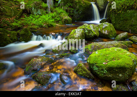 River with small waterfalls in a gorge, Ysperklamm Stock Photo