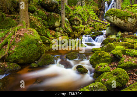 River with small waterfalls in a gorge, Ysperklamm, Lower Austria, Austria Stock Photo