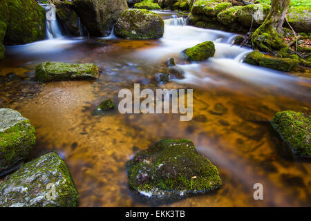 River with a small waterfall in a gorge, Ysperklamm Stock Photo
