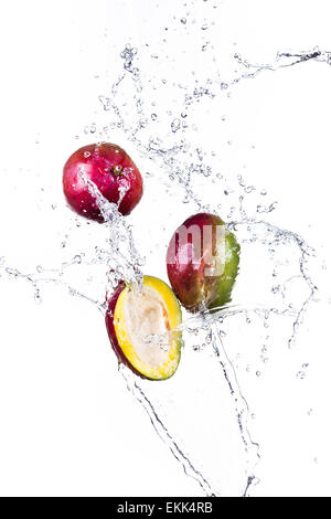 Mango with water splash isolated on white Stock Photo