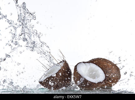 Coconuts with water splash isolated on white Stock Photo