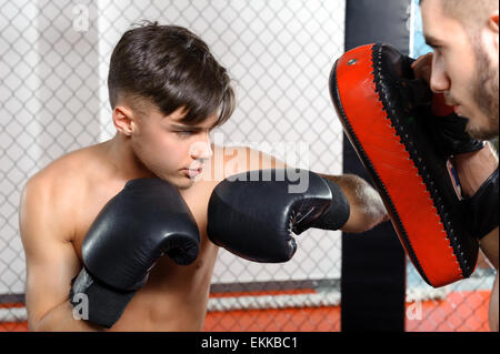 Boxer kicks punching pad Stock Photo