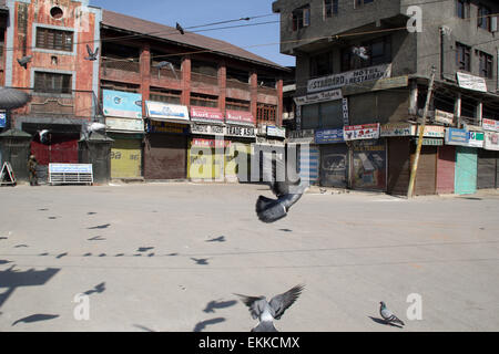 Srinagar, Kashmir, India. 11th Apr, 2015.  Srinagar the summer capital of Indian administered Kashmir on April 11, 2015.A complete shutdown is being observed across Kashmir valley on Saturday against the proposed move by government of separate township for Kashmiri pandits. Credit:  NISARGMEDIA/Alamy Live News Stock Photo