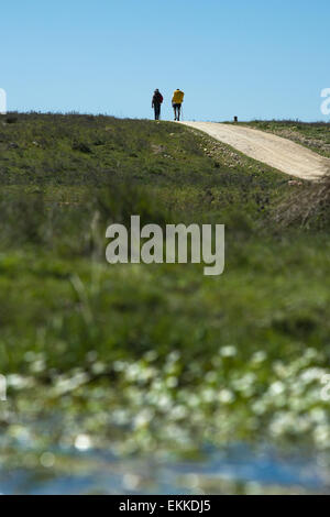 Pilgirims walking through fields of Silver Way -Via de la Plata- Valdesalor, Caceres, Extremadura, Spain Stock Photo