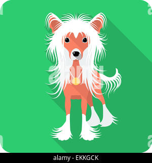 dog Chinese Crested icon flat design Stock Photo