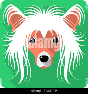 dog Chinese Crested icon flat design Stock Photo