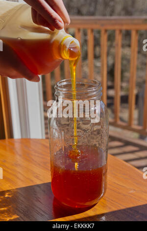 Close up of someone pouring thick, golden, raw honey from a plastic jug into a glass jar in spring sunshine Stock Photo