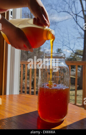 Close up of someone pouring thick, golden, raw honey from a plastic jug into a glass jar in spring sunshine Stock Photo