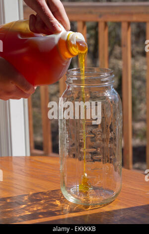 Close up of someone pouring thick, golden, raw honey from a plastic jug into an empty glass jar in spring sunshine Stock Photo