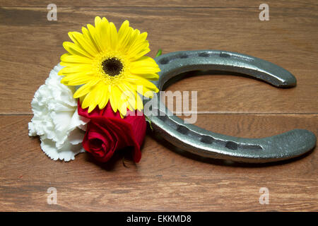 Three flowers of the triple crown - Kentucky Derby red rose, Preakness Stakes black eyed susan and Belmont Stakes white carnatio Stock Photo