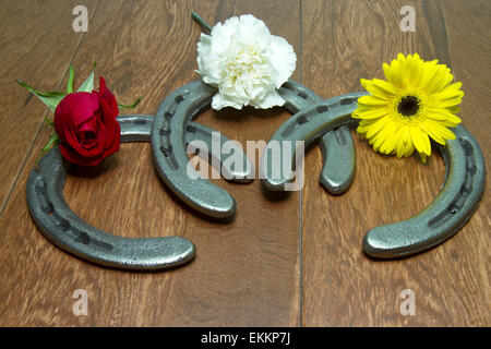 Three flowers of the triple crown - Kentucky Derby red rose, Preakness Stakes black eyed susan and Belmont Stakes white carnatio Stock Photo