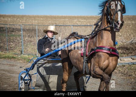 Rawlinsville, Pennsylvania, USA.  Amish Mud Sale, held every spring in Lancaster, PA.  Fund raising for local fire depts. Stock Photo