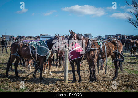 Rawlinsville, Pennsylvania, USA.  Amish Mud Sale, held every spring in Lancaster, PA.  Fund raising for local fire depts. Stock Photo