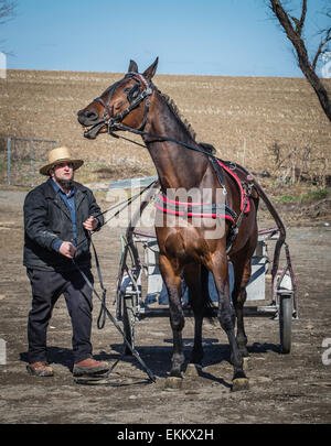 Rawlinsville, Pennsylvania, USA.  Amish Mud Sale, held every spring in Lancaster, PA.  Fund raising for local fire depts. Stock Photo