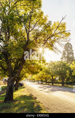 Late afternoon sun in Autumn on Central Springs Road in Daylesford, Victoria, Australia Stock Photo