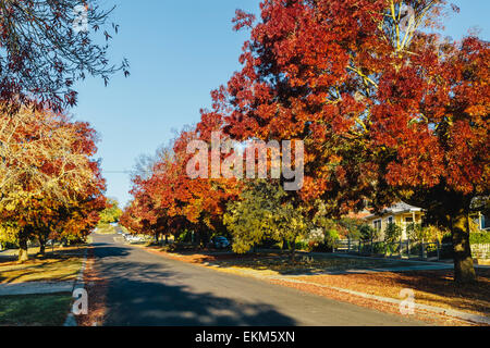 Late afternoon sun in Autumn on Hill Street in Daylesford, Victoria, Australia Stock Photo