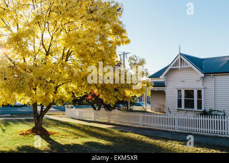 Restored timber house and tree, late afternoon sun in Autumn on Hill Street in Daylesford, Victoria, Australia Stock Photo