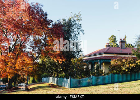 Restored timber house and tree, late afternoon sun in Autumn on Hill Street in Daylesford, Victoria, Australia Stock Photo