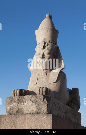 One of sphinxes. Universitetskaya Embankment, St. Petersburg, Russia. Stock Photo