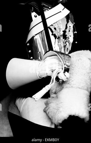 Gloved hand holding a sword mounted member of the Household Cavalry at Horse Guards parade in Whitehall London Black and white Stock Photo