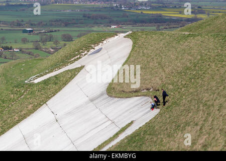 Wiltshire, UK. 12th April, 2015. UK Weather: Strong blustery winds high upon the landmark chalk White Horse above the town of Westbury. The strong winds did not stop many members of the public from visiting and making use of the weather to hike, walk pet dogs, fly kites and enjoy the stunning views across the Wiltshire vale.  The site is protected by English Heritage who maintain the ancient Iron Age hill fort seasonally by allowing grazing flocks of sheep to maintain favourable chalk grasses and scrub plants.   Credit:  Wayne Farrell/Alamy Live News Stock Photo