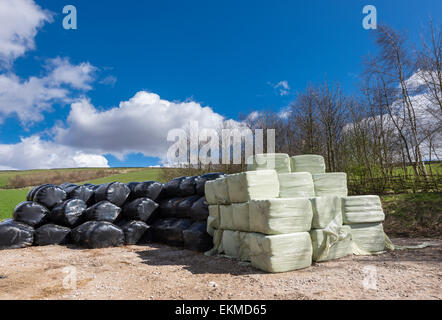 Bales of round and square hay or silage in spring sunshine beside a Peak District footpath. Stock Photo