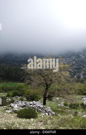 Scenic landscape, limestone mountains in spring, Sierra los Camarolos, Andalusia, Southern Spain. Stock Photo