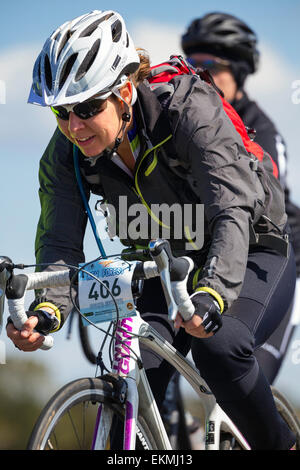 A female cyclist competes in the New Forest Wiggle Sportive event on a sunny Sunday in Spring Stock Photo