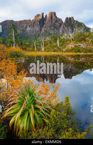 Mt. Geryon and Pool of Memories - Cradle Mountain Lake St Clair National Park - Tasmania - Australia Stock Photo