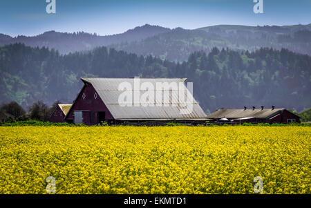 An old barn on a farm. Stock Photo