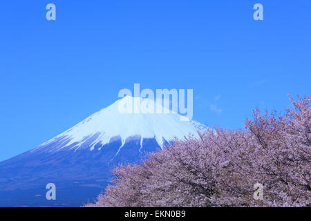 Shizuoka Prefecture, Japan Stock Photo