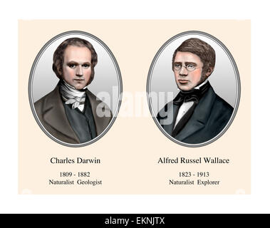 Charles Darwin Alfred Russel Wallace Portrait Modern Illustration Stock Photo