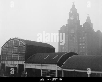 Unemployed and views of Liverpool, 30th November 1962. People waiting for a ferry at the docks with the Royal Liver Building behind. Stock Photo
