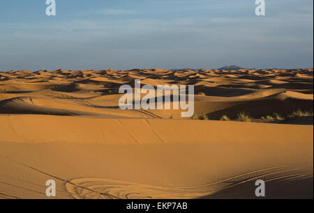 Several sand hill at Erg Chebbi in the Sahara desert. Ers are large dunes formed by wind-blown sand. Morocco