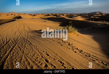 Several sand hill at Erg Chebbi in the Sahara desert.  Ers are large dunes formed by wind-blown sand. Morocco